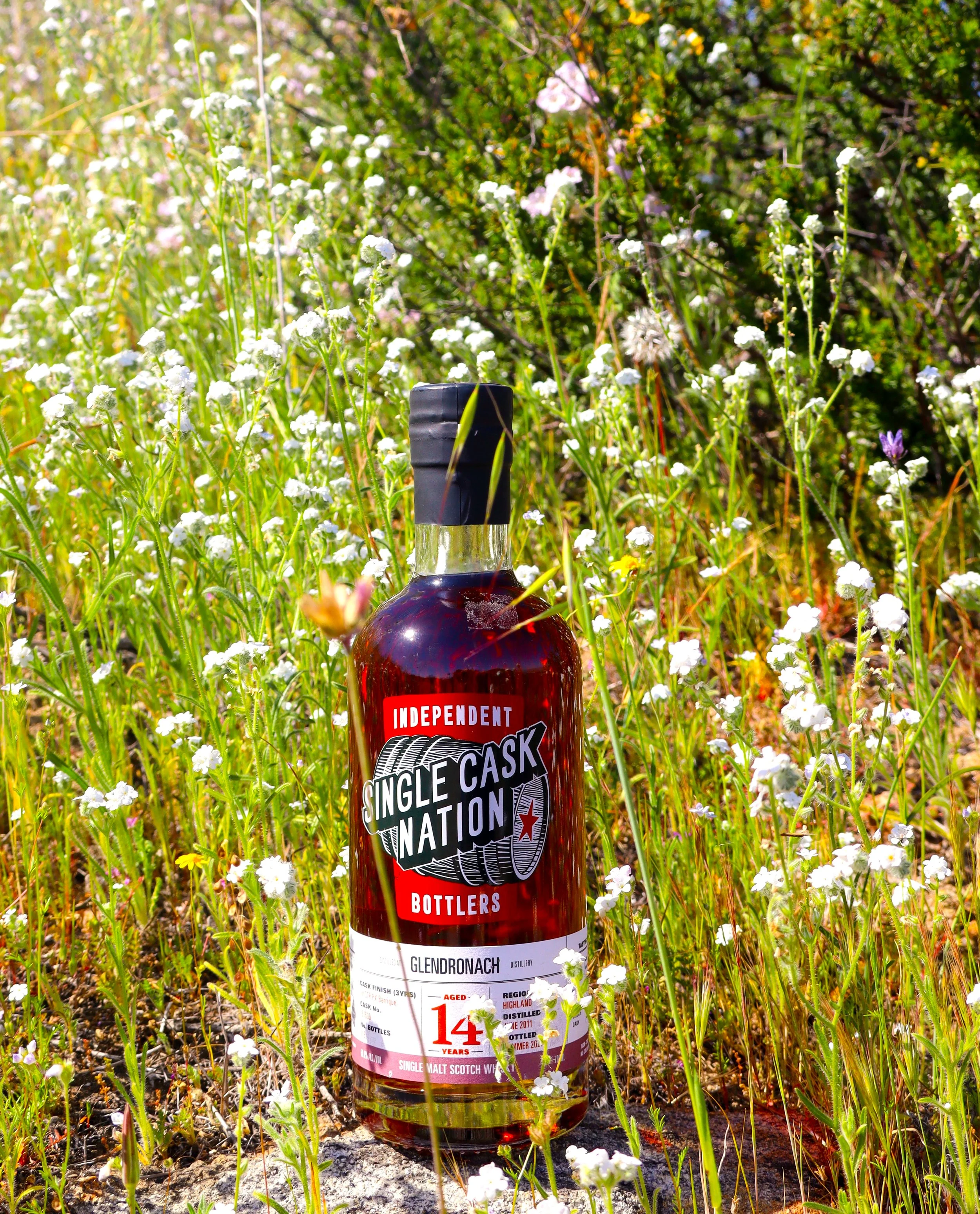 Glendronach 14yo Single Cask Nation — Dramface